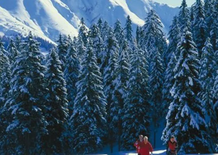 Kaltschmid - Familotel Tirol Hotell